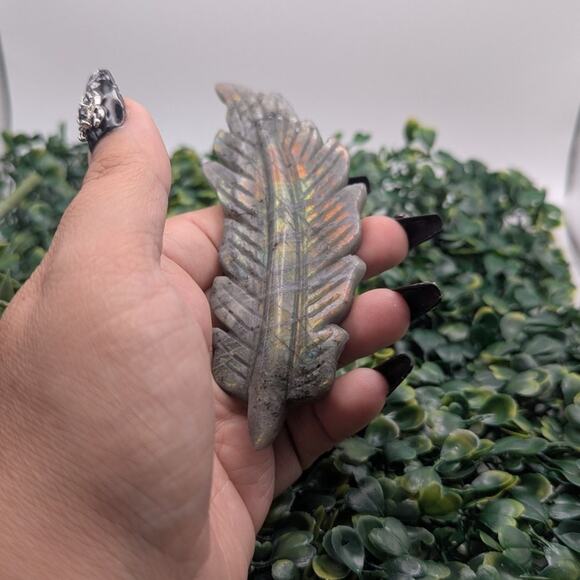 Rainbow Flash Labradorite Feather carving boho witch crystal collector natural - Picture 1 of 6